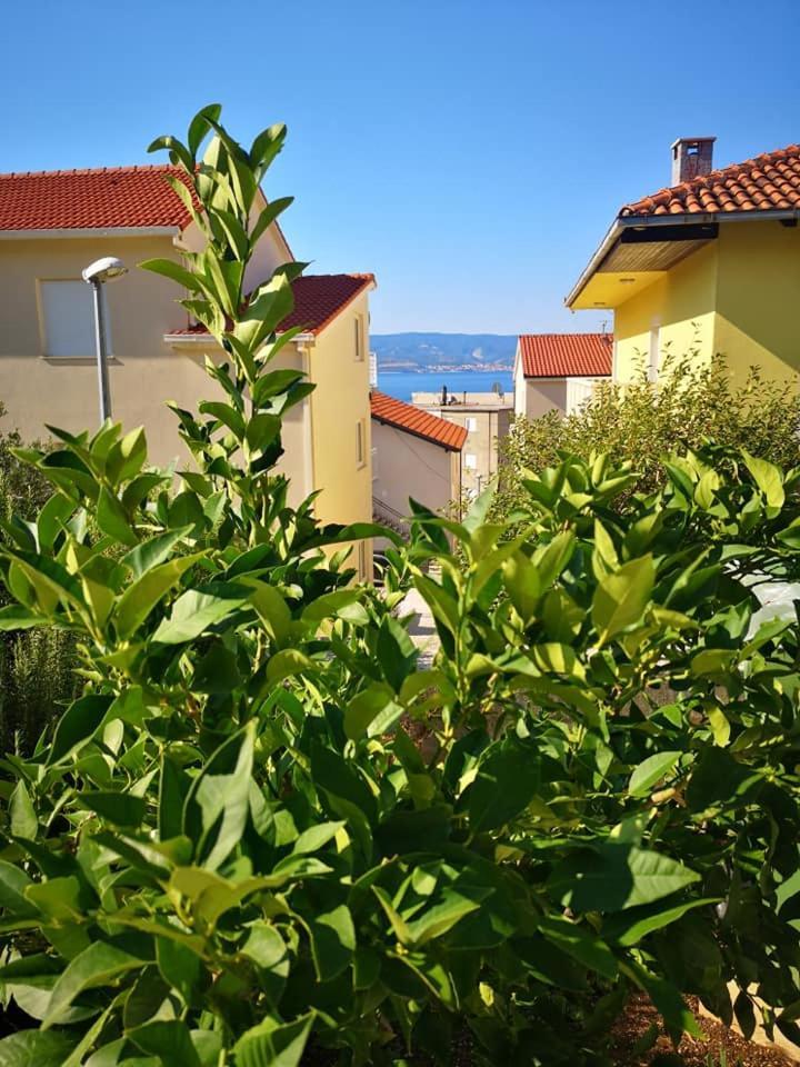Apartmani Livajic Duće Esterno foto